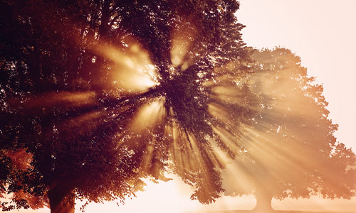 About-us-thumbnails_tcm98-52470